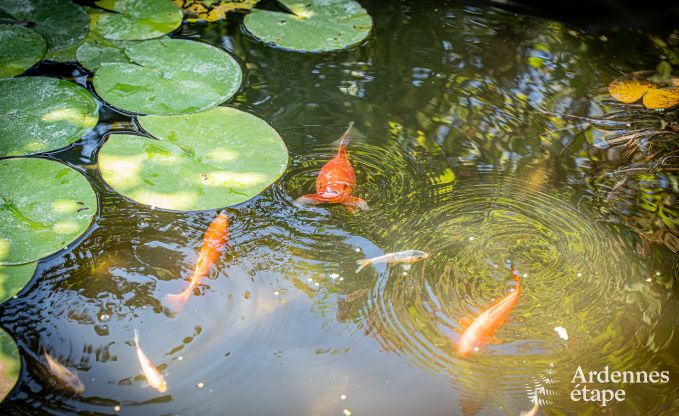 Vakantiehuis in Philippeville voor 6 personen in de Ardennen