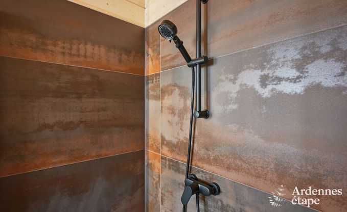 Charmante cottage met panoramisch uitzicht in Plombi�res, Ardennen