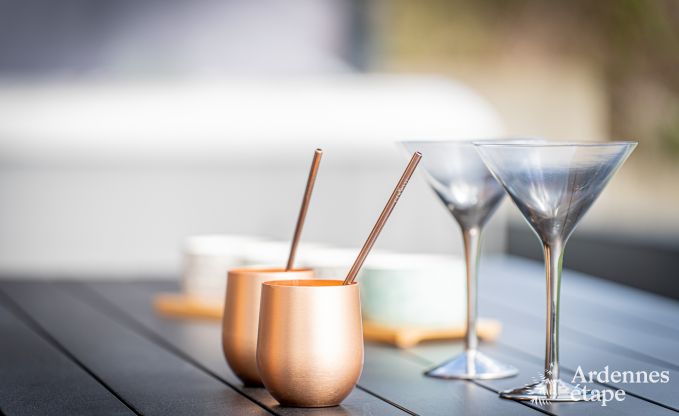 Luxe vakantiehuis in Plombi�res: villa voor 6 personen met jacuzzi, 3 slaapkamers en priv�tuin