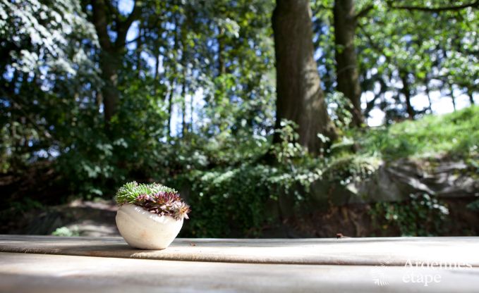 Vakantie op de boerderij in Plombi�res voor 6 personen in de Ardennen