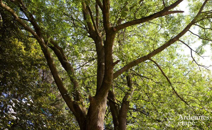 Vakantie op de boerderij in Plombi�res voor 6 personen in de Ardennen