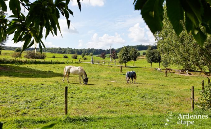 Vakantie op de boerderij in Plombi�res voor 11 personen in de Ardennen