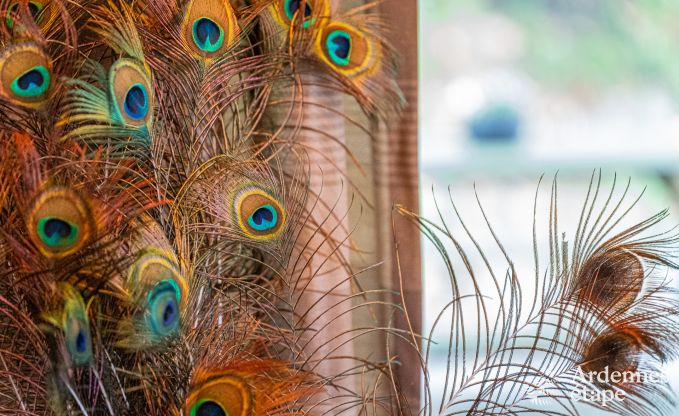 Vakantie op de boerderij in Plombi�res voor 12 personen in de Ardennen