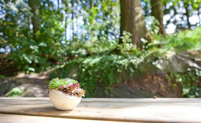 Vakantie op de boerderij in Plombi�res voor 12 personen in de Ardennen