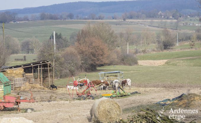 Vakantie op de boerderij in Plombières voor 4/5 personen in de Ardennen