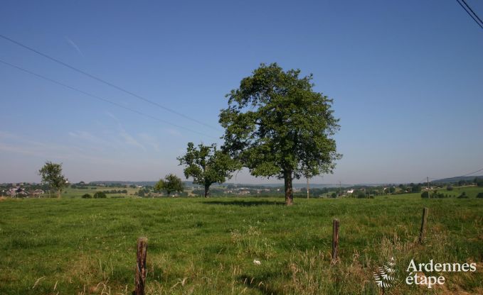 Vakantiehuis in Plombi�res voor 12 personen in de Ardennen