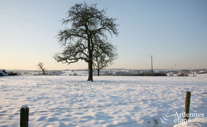 Vakantiehuis in Plombi�res voor 12 personen in de Ardennen