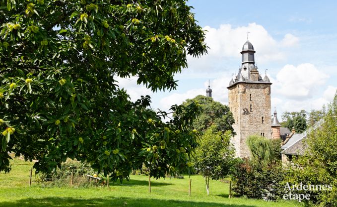 Vakantiehuis in Plombi�res voor 10 personen in de Ardennen