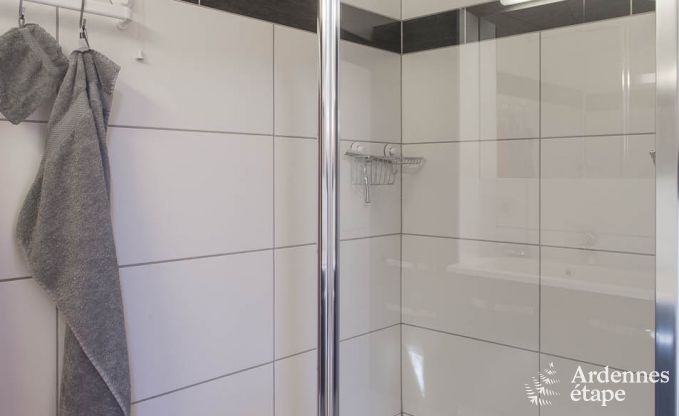 Vakantiehuis in Porcheresse (Daverdisse) voor 2 personen in de Ardennen