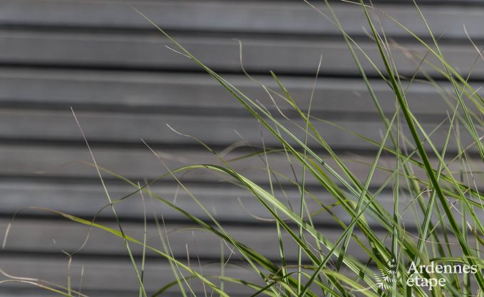 Vakantiehuis in Porcheresse (Daverdisse) voor 2 personen in de Ardennen