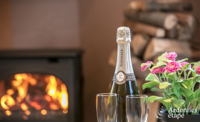 Vakantiehuis in Porcheresse (Daverdisse) voor 2 personen in de Ardennen