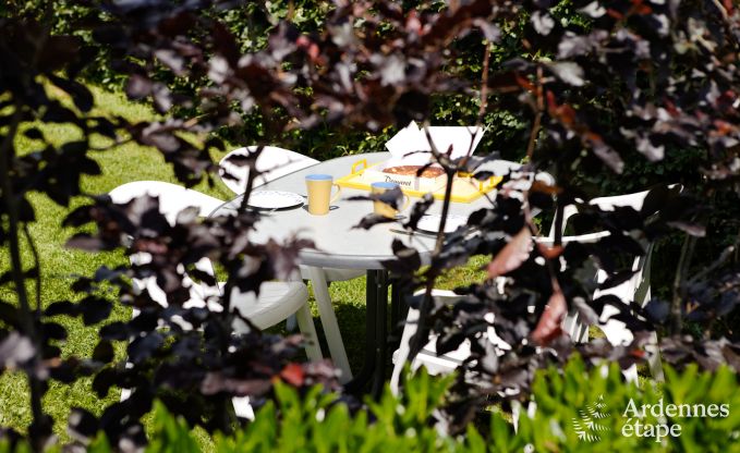 Vakantiehuis in Porcheresse (Daverdisse) voor 2 personen in de Ardennen