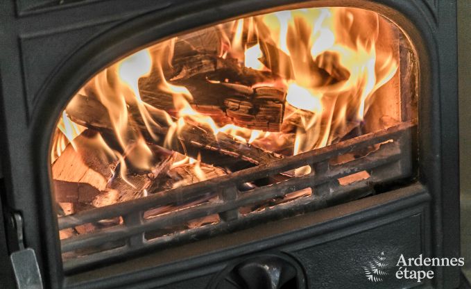 Vakantiehuis in Porcheresse (Daverdisse) voor 2 personen in de Ardennen