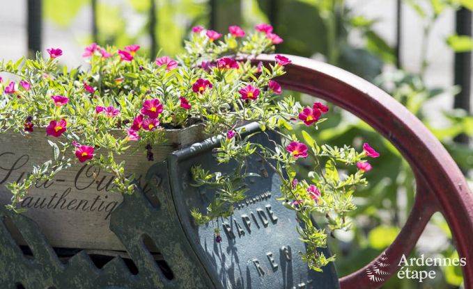 Vakantiehuis in Porcheresse (Daverdisse) voor 2 personen in de Ardennen