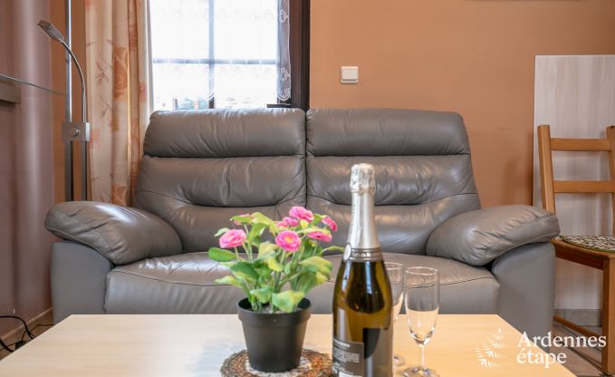 Vakantiehuis in Porcheresse (Daverdisse) voor 2 personen in de Ardennen