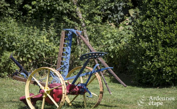 Vakantiehuis in Porcheresse (Daverdisse) voor 2 personen in de Ardennen