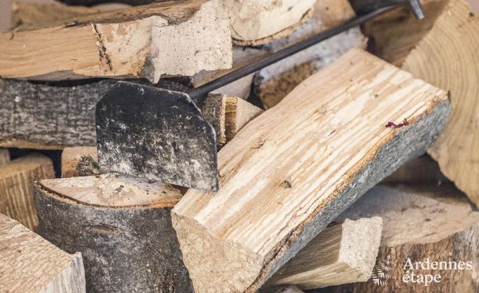 Vakantiehuis in Porcheresse (Daverdisse) voor 2 personen in de Ardennen