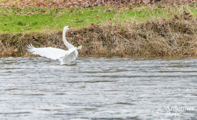 Vakantiehuis in Poupehan voor 26 personen in de Ardennen