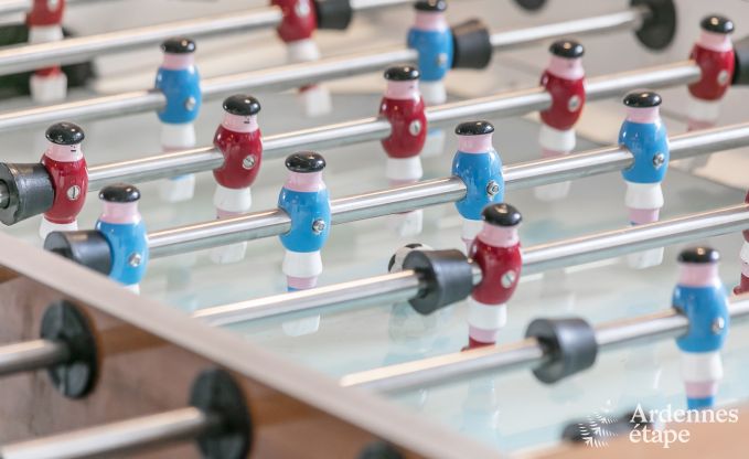 Vakantiehuis in Poupehan voor 26 personen in de Ardennen