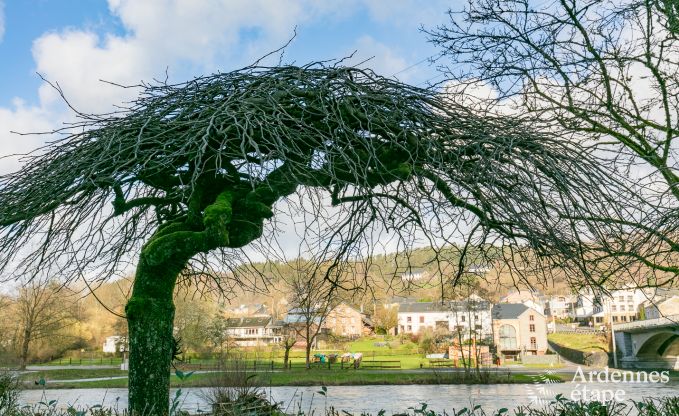 Vakantiehuis in Poupehan voor 26 personen in de Ardennen