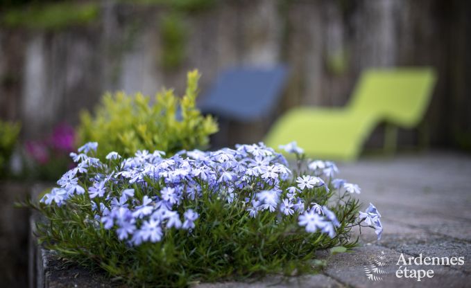 Hoogwaardig huis in Profondeville met sauna en jacuzzi voor 5 personen in de Ardennen