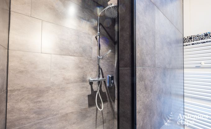 Hoogwaardig huis met buitenwellness in het hart van de Maasvallei in Profondeville