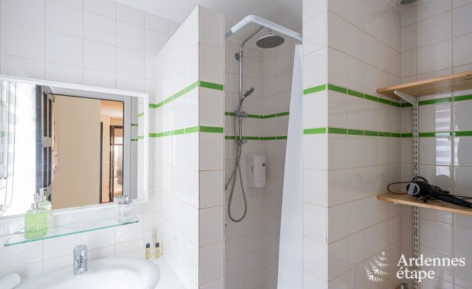 Vakantiehuis met sauna en jacuzzi voor 6 personen in Profondeville, Ardennen