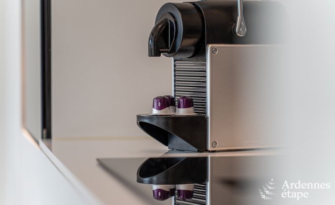 Uitzonderlijke charmante vakantiewoning in Profondeville voor 4 personen met jacuzzi, infraroodcabine en ponton op de Maas