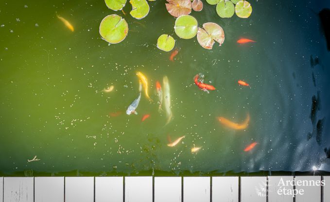 Vakantiehuis in Profondeville voor 8/9 personen in de Ardennen