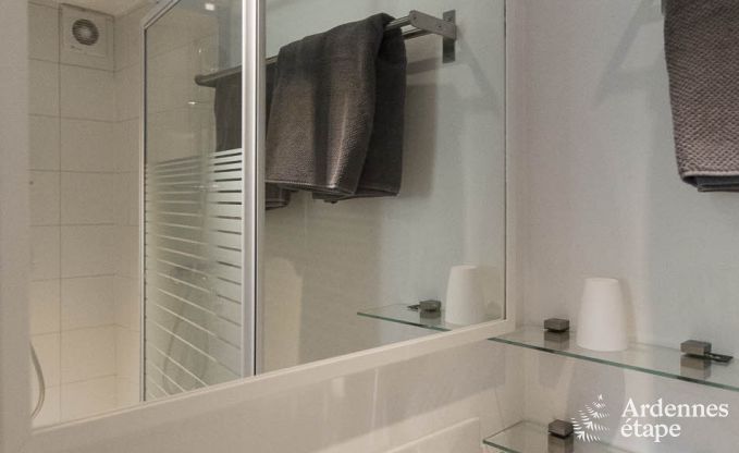 Cottage in Redu, Ardennen, 7 slaapkamers, 6 badkamers, 15 personen, noords bad, biljart, privé tuin, terras, oplaadpunt voor elektrische auto's