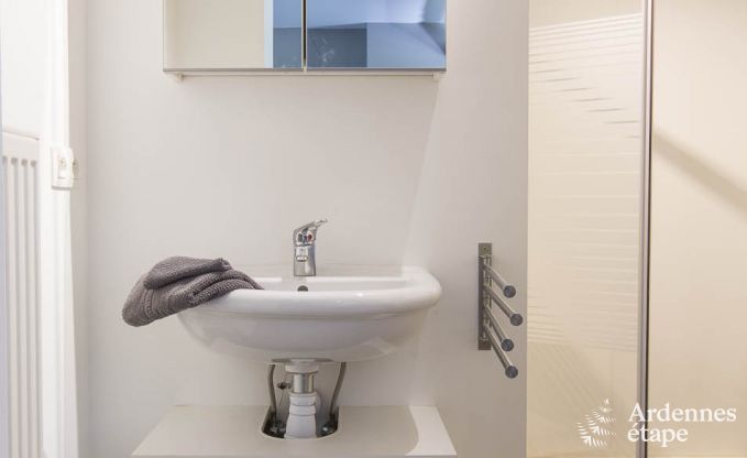 Cottage in Redu, Ardennen, 7 slaapkamers, 6 badkamers, 15 personen, noords bad, biljart, privé tuin, terras, oplaadpunt voor elektrische auto's