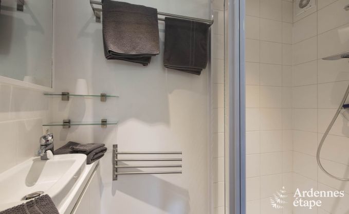 Cottage in Redu, Ardennen, 7 slaapkamers, 6 badkamers, 15 personen, noords bad, biljart, privé tuin, terras, oplaadpunt voor elektrische auto's