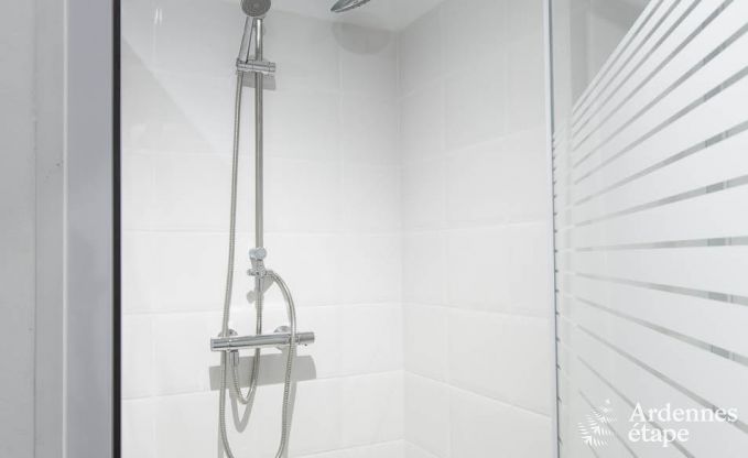 Cottage in Redu, Ardennen, 7 slaapkamers, 6 badkamers, 15 personen, noords bad, biljart, privé tuin, terras, oplaadpunt voor elektrische auto's