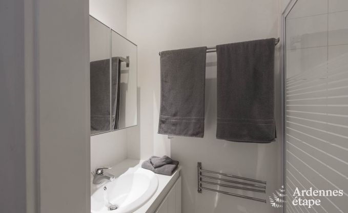 Charmante, ruime en hondvriendelijke cottage in Redu voor 17 personen