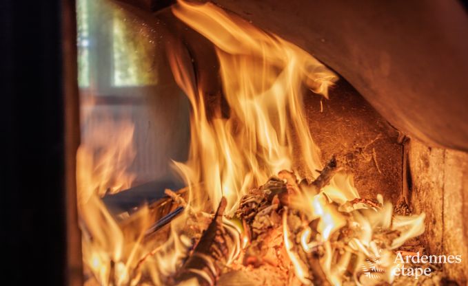 Charmante, ruime en hondvriendelijke cottage in Redu voor 17 personen