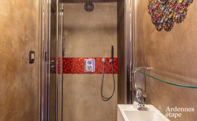 Luxe villa in Redu, Ardennen, 9 personen, buitenzwembad, sauna, stoombad, binnen- en buitenjacuzzi, privtuin, volledige uitrusting