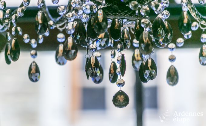 Luxe villa in Redu, Ardennen, 9 personen, buitenzwembad, sauna, stoombad, binnen- en buitenjacuzzi, privtuin, volledige uitrusting