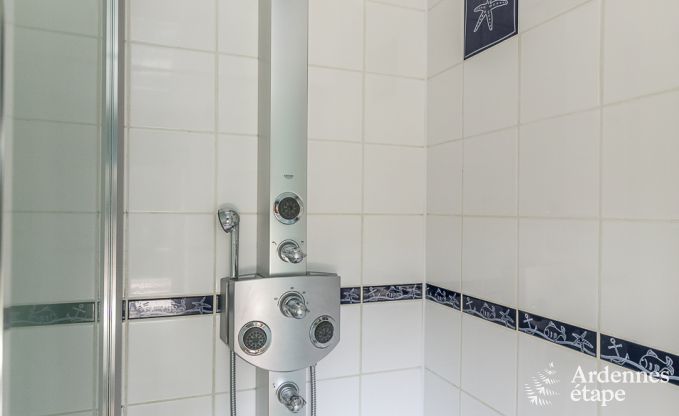 Luxe villa in Redu, Ardennen, 9 personen, buitenzwembad, sauna, stoombad, binnen- en buitenjacuzzi, privtuin, volledige uitrusting