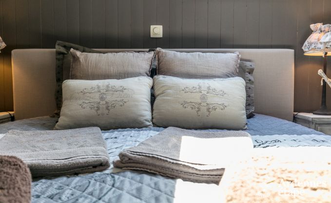 Luxe villa in Redu, Ardennen, 9 personen, buitenzwembad, sauna, stoombad, binnen- en buitenjacuzzi, privtuin, volledige uitrusting