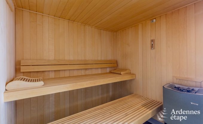 Luxe villa in Redu, Ardennen, 9 personen, buitenzwembad, sauna, stoombad, binnen- en buitenjacuzzi, privtuin, volledige uitrusting