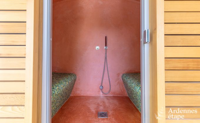 Luxe villa in Redu, Ardennen, 9 personen, buitenzwembad, sauna, stoombad, binnen- en buitenjacuzzi, privtuin, volledige uitrusting