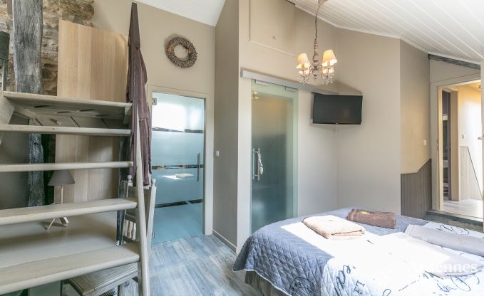 Luxe villa in Redu, Ardennen, 9 personen, buitenzwembad, sauna, stoombad, binnen- en buitenjacuzzi, privtuin, volledige uitrusting