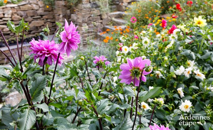 Vakantiehuis in Redu voor 12 personen in de Ardennen