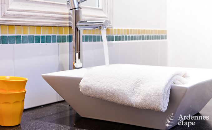 Vakantiehuis in Redu voor 12 personen in de Ardennen