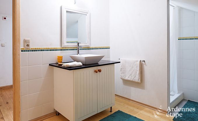 Vakantiehuis in Redu voor 12 personen in de Ardennen