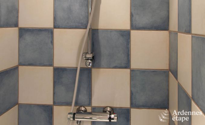 Vakantiehuis in Redu voor 11 personen in de Ardennen