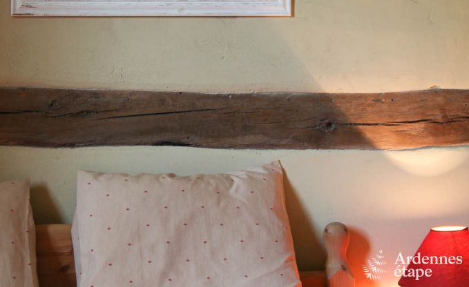 Vakantiehuis in Redu voor 11 personen in de Ardennen