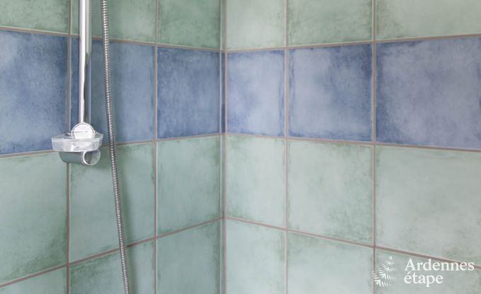 Vakantiehuis in Redu voor 11 personen in de Ardennen