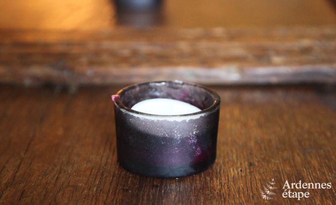 Vakantiehuis in Redu voor 22 personen in de Ardennen