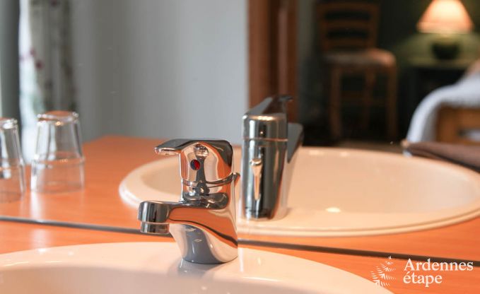 Vakantiehuis in Redu voor 22 personen in de Ardennen